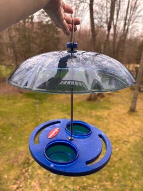 Bluebird/mealworm bird feeder